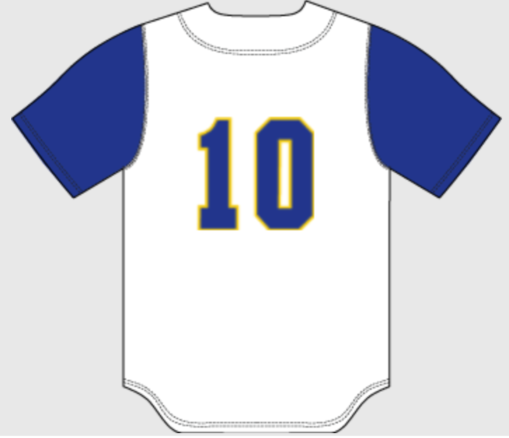 (2) JETBOX Sleeve Pattern Jersey