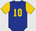 (2) JETBOX Sleeve Pattern Jersey