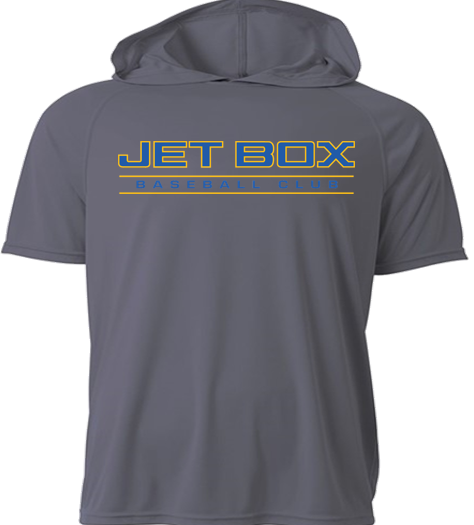 Performance Hooded T Shirt