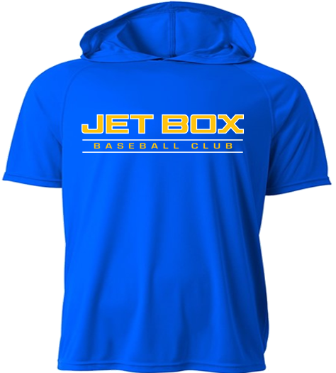 Performance Hooded T Shirt