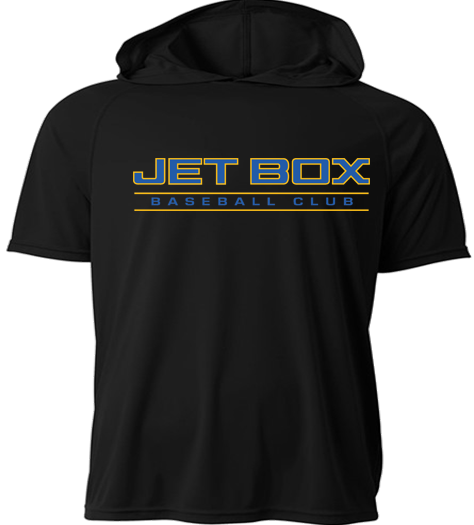 Performance Hooded T Shirt